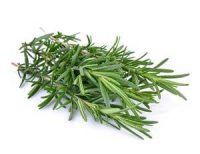 trauerfloristik-blumenkunde-rosmarin-Rosmarinus-officinalisri Pflanzen und Blumen der Trauerfloristik